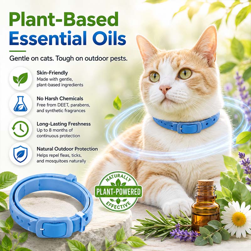 🐾Enjoy 30% OFF for adding the second one | Healrize®🦟