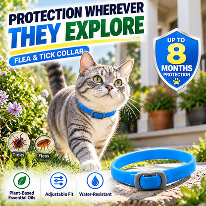 🐾Enjoy 30% OFF for adding the second one | Healrize®🦟